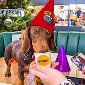 Give your pooch a treat this Christmas at Pup Up Cafe, coming to MK on November 19